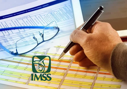 Dictámenes para IMSS